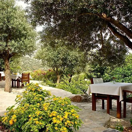 Ξενοδοχείο Zephyros 3*