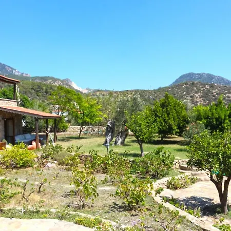 Zephyros Mesudiye (Datca)