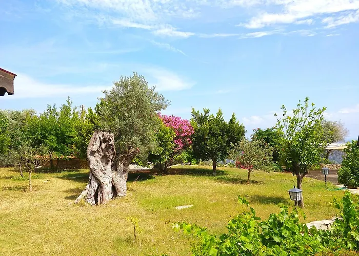 Hotel Zephyros Mesudiye (Datca)