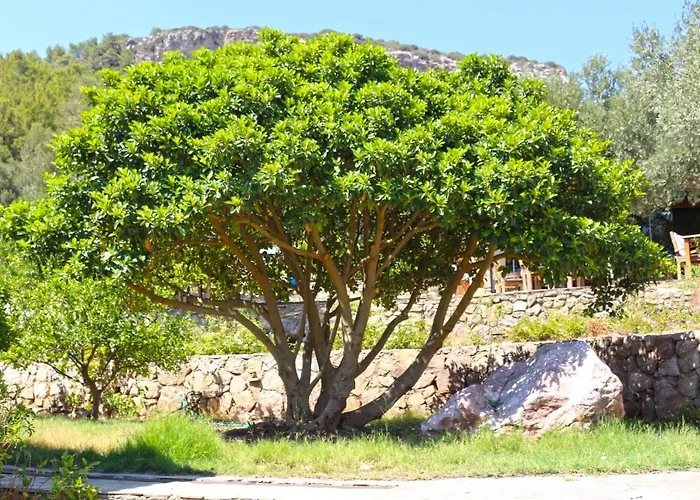 Zephyros Szálloda 3*